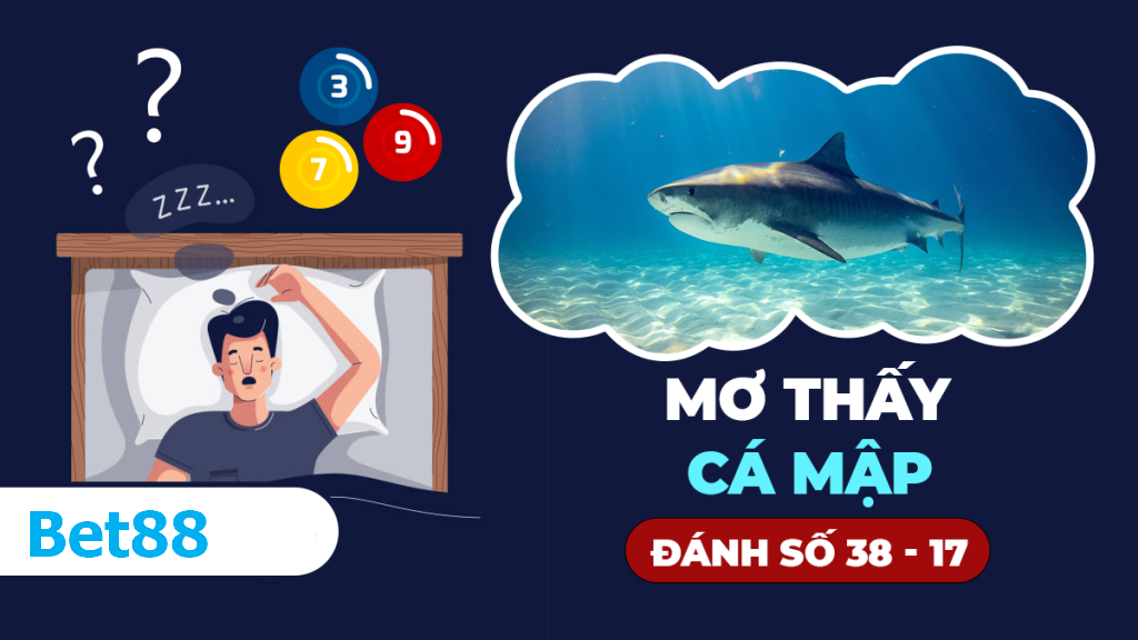 Mơ thấy cá mập thì đánh con lô gì may mắn