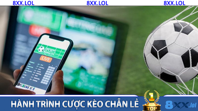 Hành Trình Cược Kèo Chẵn Lẻ - Từ Chọn Cược Đến Nhận Thưởng